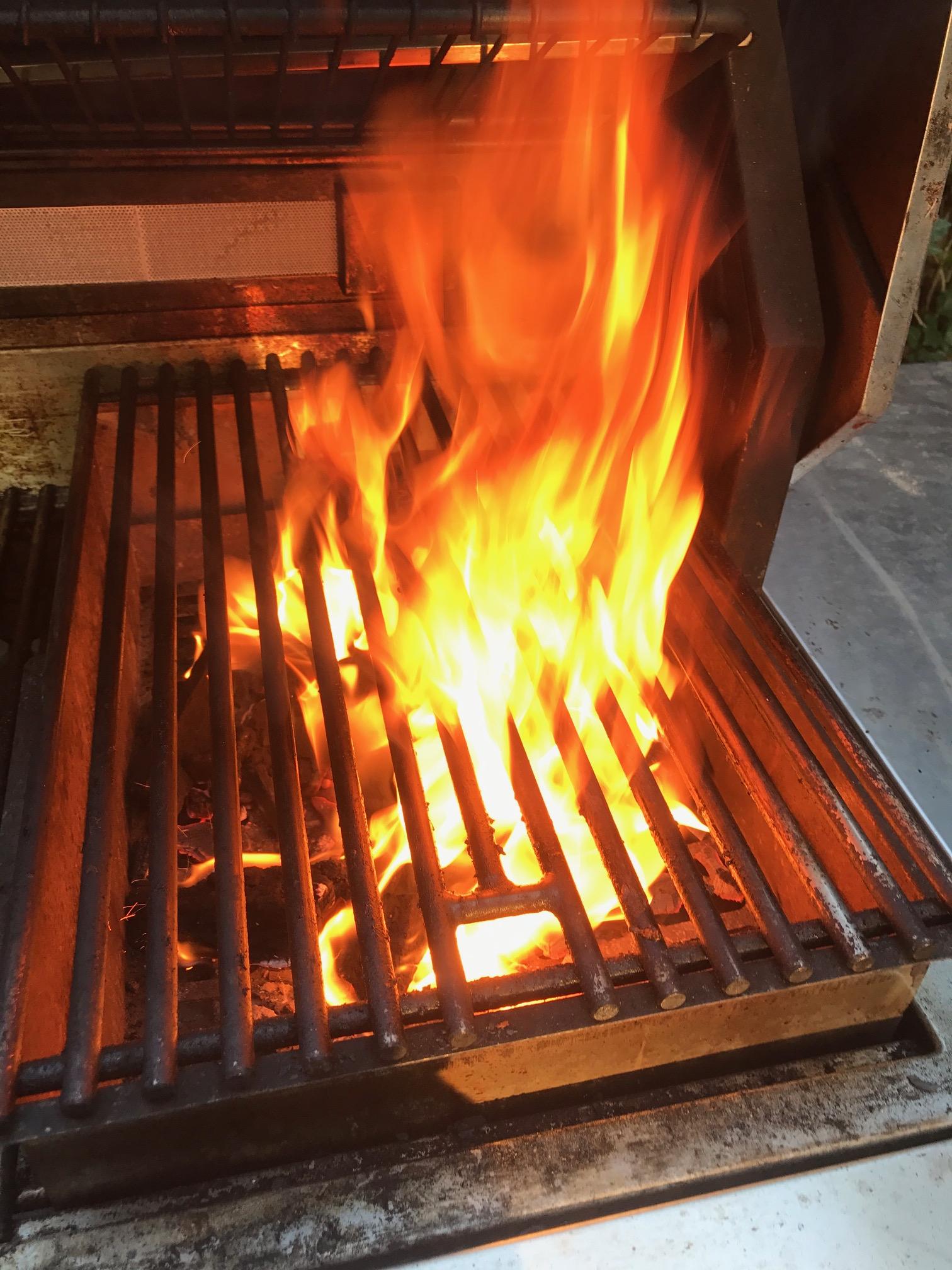 Alfresco Grill Review Solid Fuel Insert Safety Tips